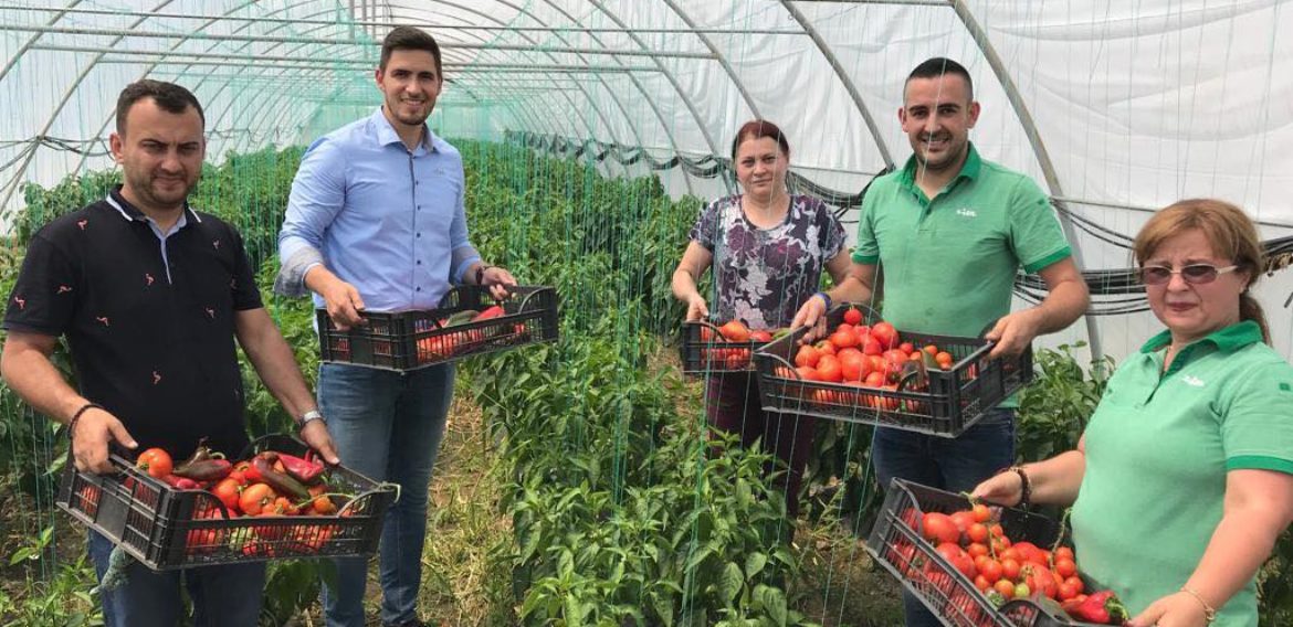 Peste 500 de angajați din magazinele Lidl au fost în vizită la furnizorii de legume și fructe
