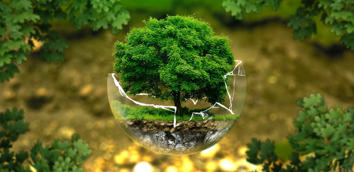 Avertismentul a peste 11.000 de cercetători: Planeta se confruntă cu o urgență climatică