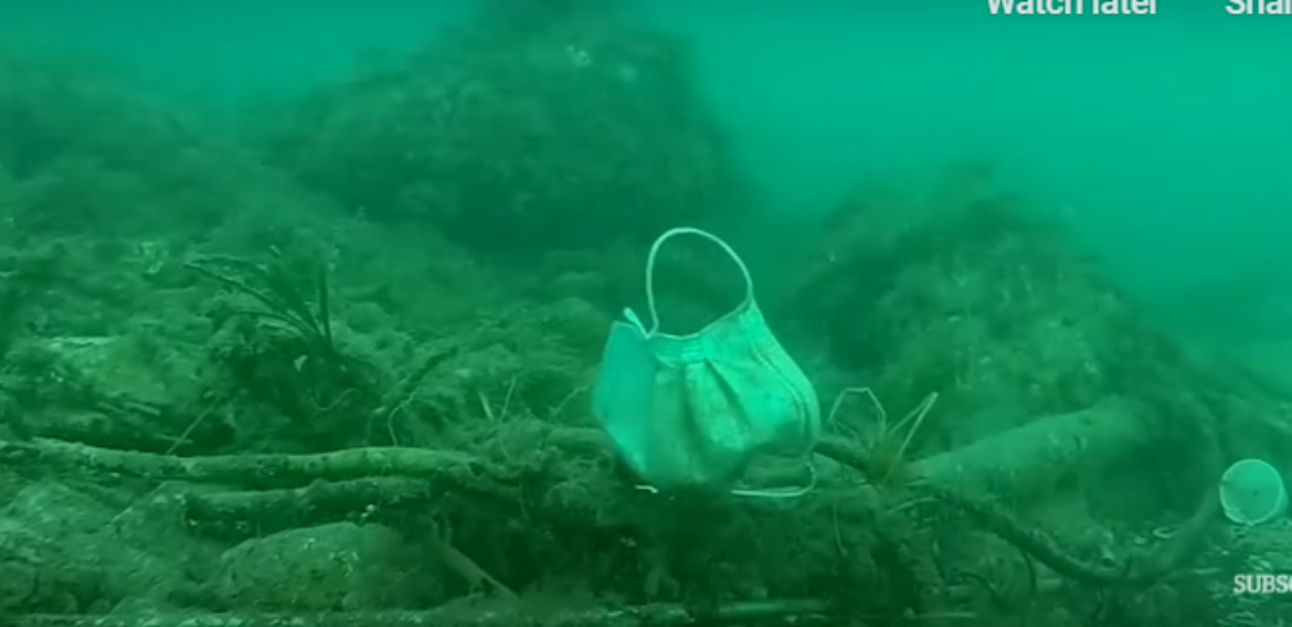 „Mai multe măști decât meduze”. Gunoaiele din timpul pandemiei de coronavirus ajung în ocean