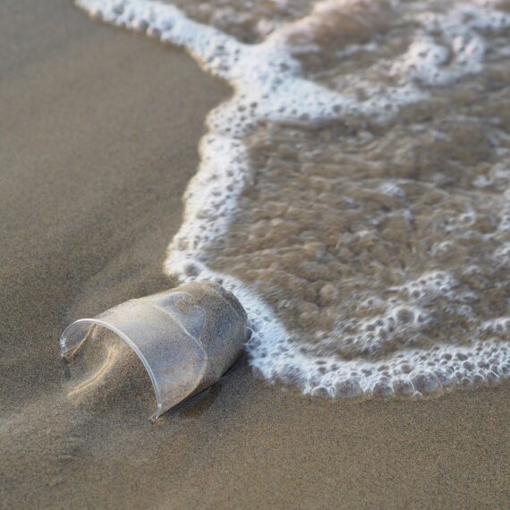 Studiu: Mai mult de 14 milioane de tone de plastic se află pe fundul oceanului planetar