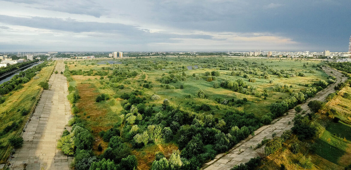 28 de ONG-uri cer protejarea Parcului Natural Văcărești