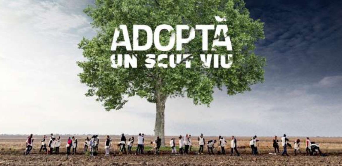 Prima plantare virtuală din România – Ziua în care vom planta un scut viu