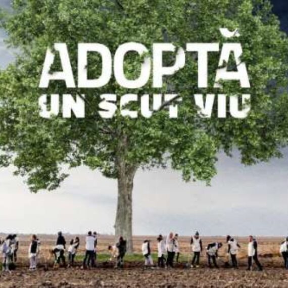 Prima plantare virtuală din România – Ziua în care vom planta un scut viu