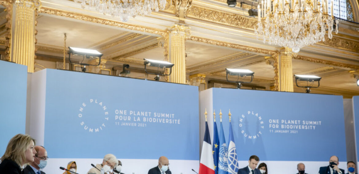 Summitul One Planet. Peste 50 de state se angajează să protejeze cel puțin 30% din pământul și oceanele planetei