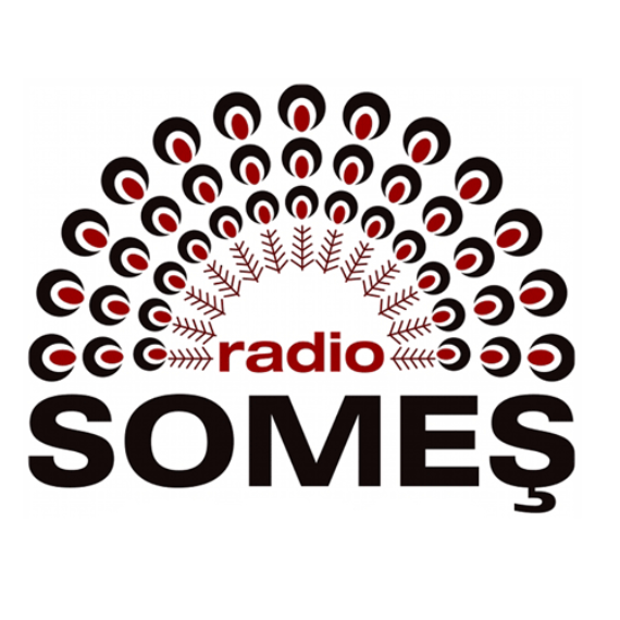 VIDEO Direct in probleme de mediu (Radio Somes)