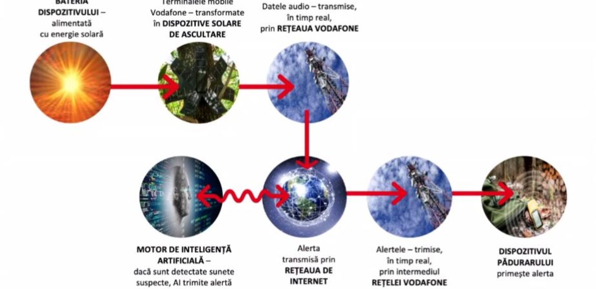 Vodafone anunță inițiativa Smart Forest, care ar putea ajuta la oprirea defrișărilor ilegale din România