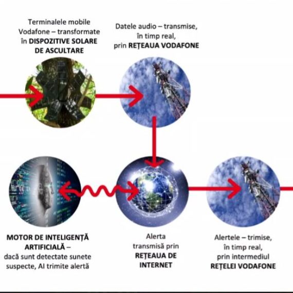 Vodafone anunță inițiativa Smart Forest, care ar putea ajuta la oprirea defrișărilor ilegale din România