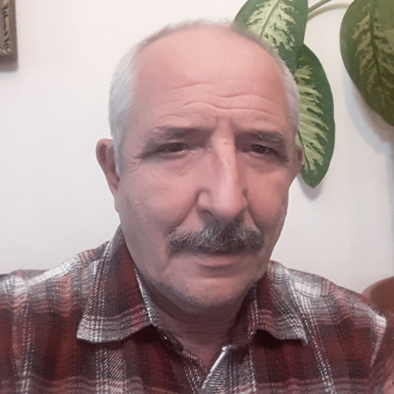 Mircea Vlad