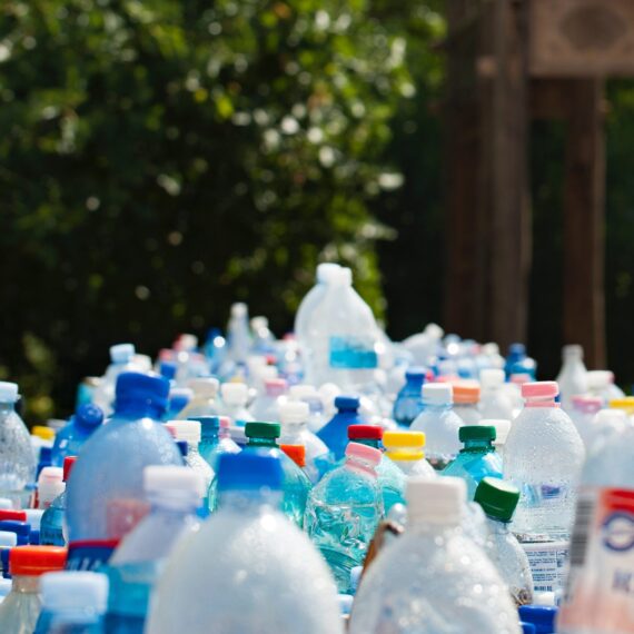 Obligațiile de colectare separată în cadrul organizației tale – publică, privată, non-profit