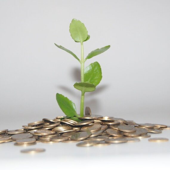 BNR: Economia românească este expusă riscurilor schimbărilor climatice. Aproape 40% din valoarea valoarea adăugată este produsă de firme din sectoare carbon-intensive