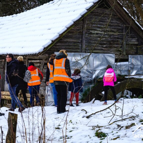 Color the Village 2022 va avea loc în Fărășești, județul Timiș