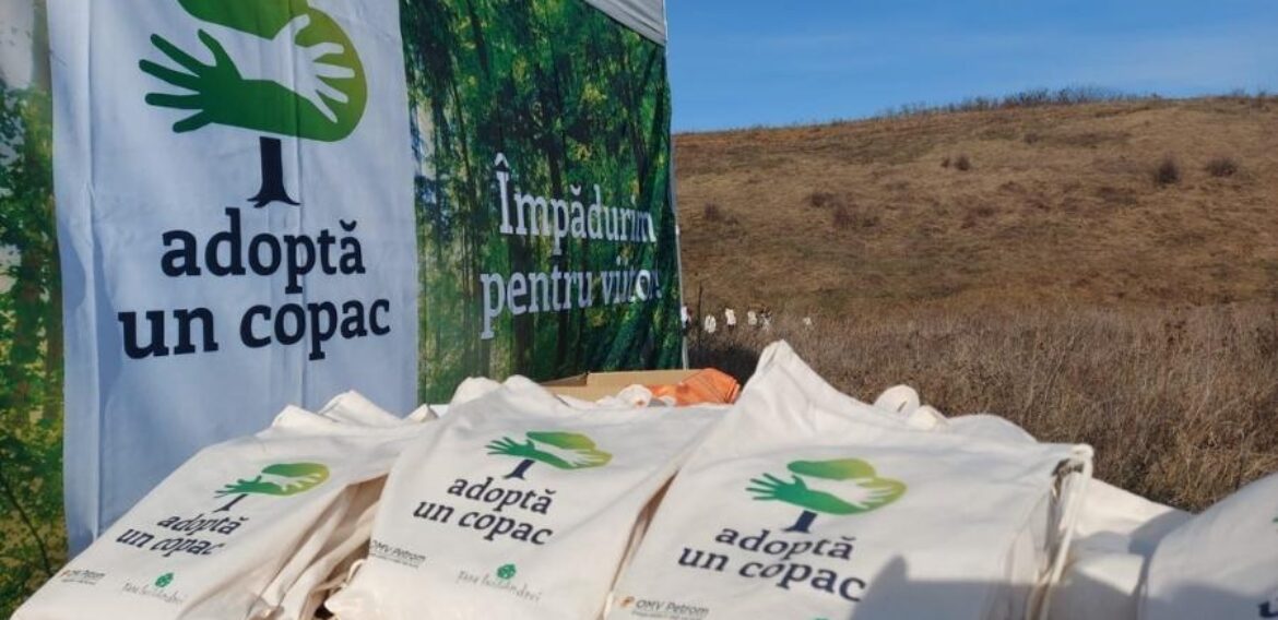 „Adoptă un Copac”invită voluntarii să participe la o activitate plăcută în aer liber, pentru a proteja sudul României