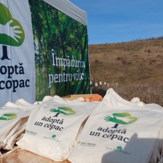„Adoptă un Copac”invită voluntarii să participe la o activitate plăcută în aer liber, pentru a proteja sudul României