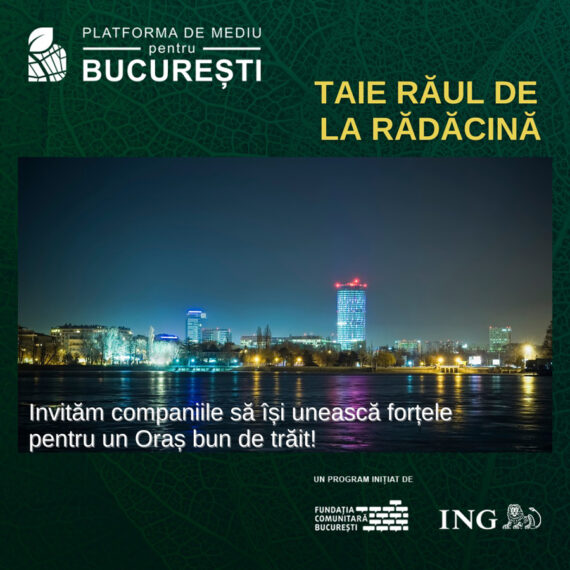 Top 10 probleme de mediu ale Bucureștiului