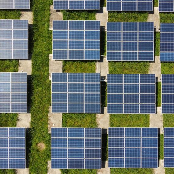 Grupul agricol Șerban Holding instalează 0,4 MW de fotovoltaice la ferma avicolă pe care o deține, pentru a acoperi 20% din necesarul de energie