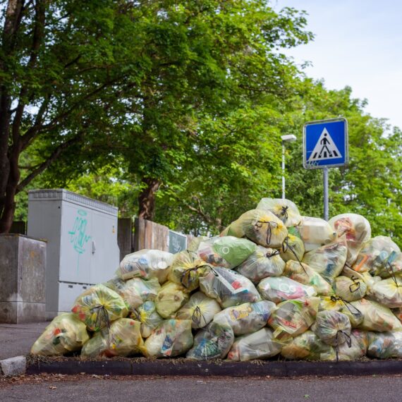 Cum poți lupta cu risipa alimentară: Spania vrea să impună amenzi pentru magazine și să încurajeze populația să ia mâncarea „la pachet”