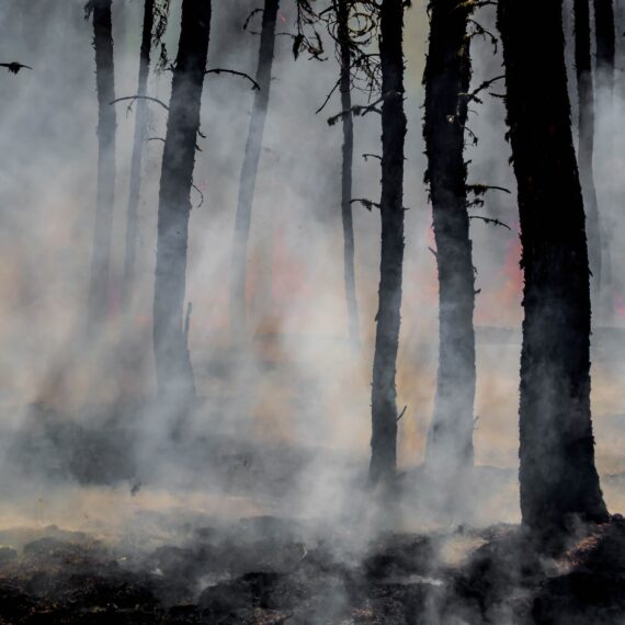 Efectele schimbărilor climatice devin tot mai vizibile: Franța se pregătește pentru temperaturi record, în timp ce Spania se luptă cu incendiile de vegetație