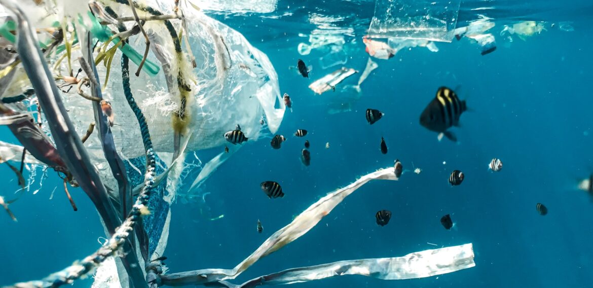 ONU declară stare de urgență a oceanelor și cere ca guvernele să ia măsuri mai curajoase