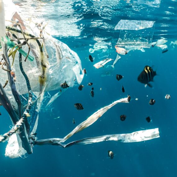 OECD avertizează că volumul de deșeuri plastice se va tripla până în 2060 în lipsa unor acțiuni curajoase