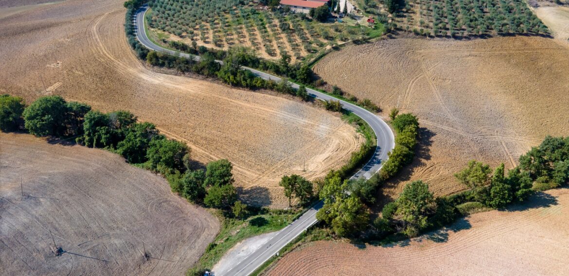 Căldura extremă cu care se confruntă nordul Italiei amenință producția de ulei de măsline și orez risotto