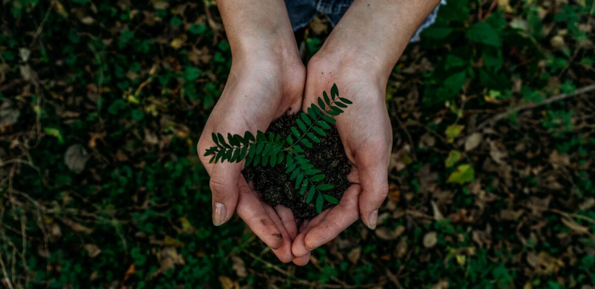Orașul Bistrița a fost inclus printre finalistele selectate pentru premiul „Green Leaf 2024” acordat de Comisia Europeană