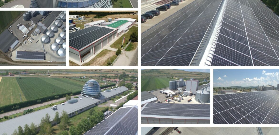 Producătorul de carne de pui Transavia investește în producția de energie verde și vrea să-și acopere peste 80% din consum până la finalul anului viitor