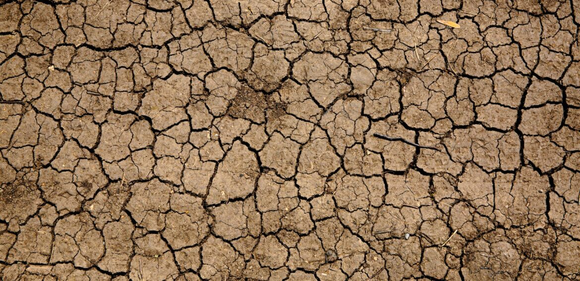 Noul normal? Criza secetei din Europa este alimentată de criza climatică