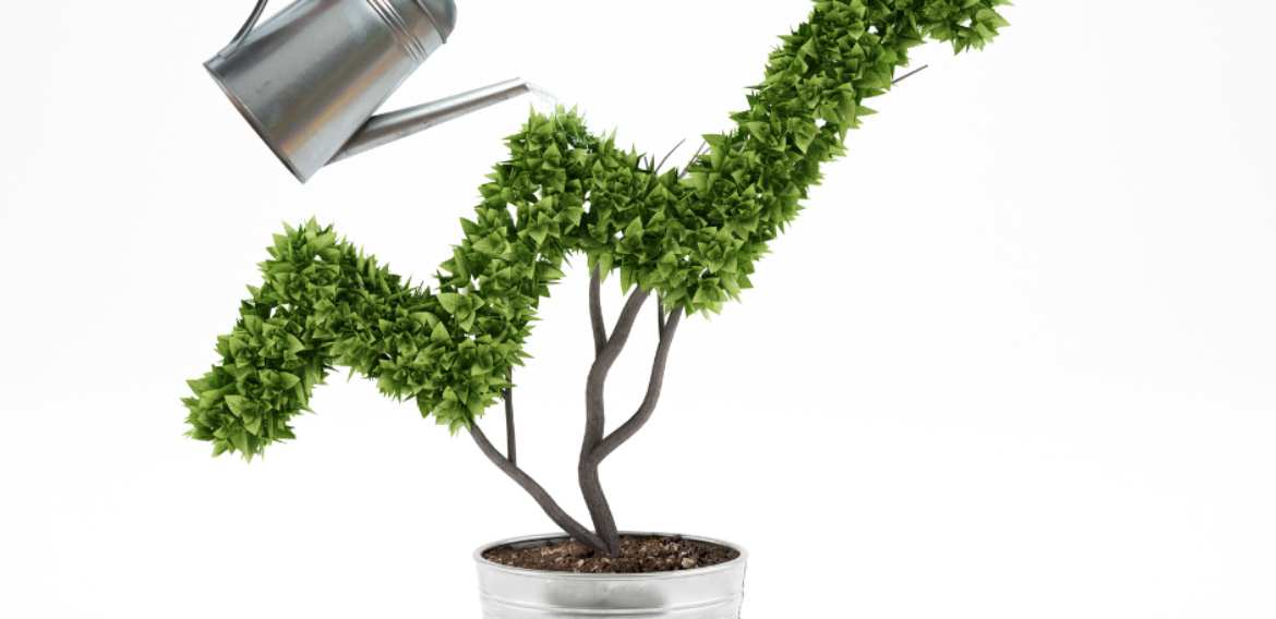A fost aprobată Strategia națională privind Economia Circulară