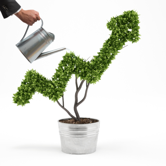 A fost aprobată Strategia națională privind Economia Circulară