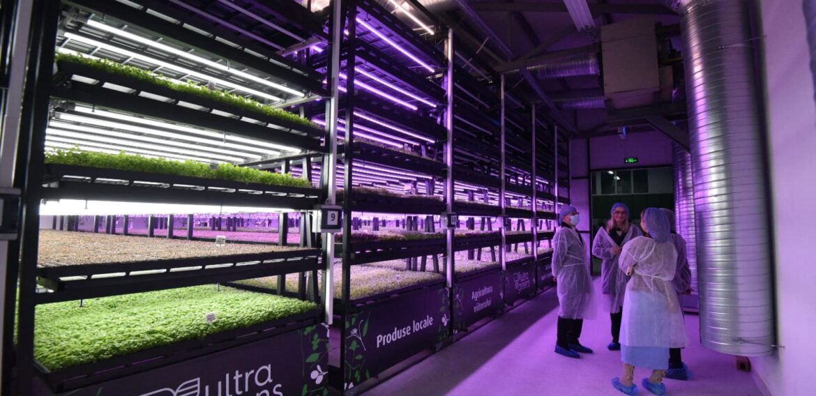 Ultragreens și Kaufland au inaugurat prima seră verticală din România