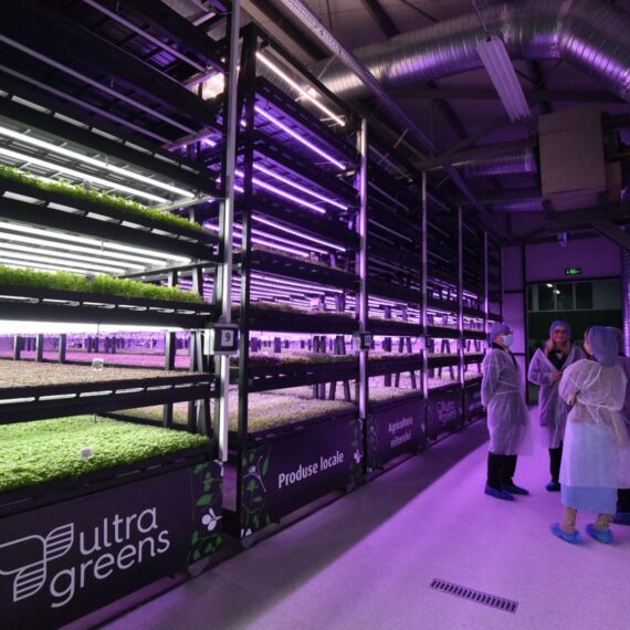 Ultragreens și Kaufland au inaugurat prima seră verticală din România