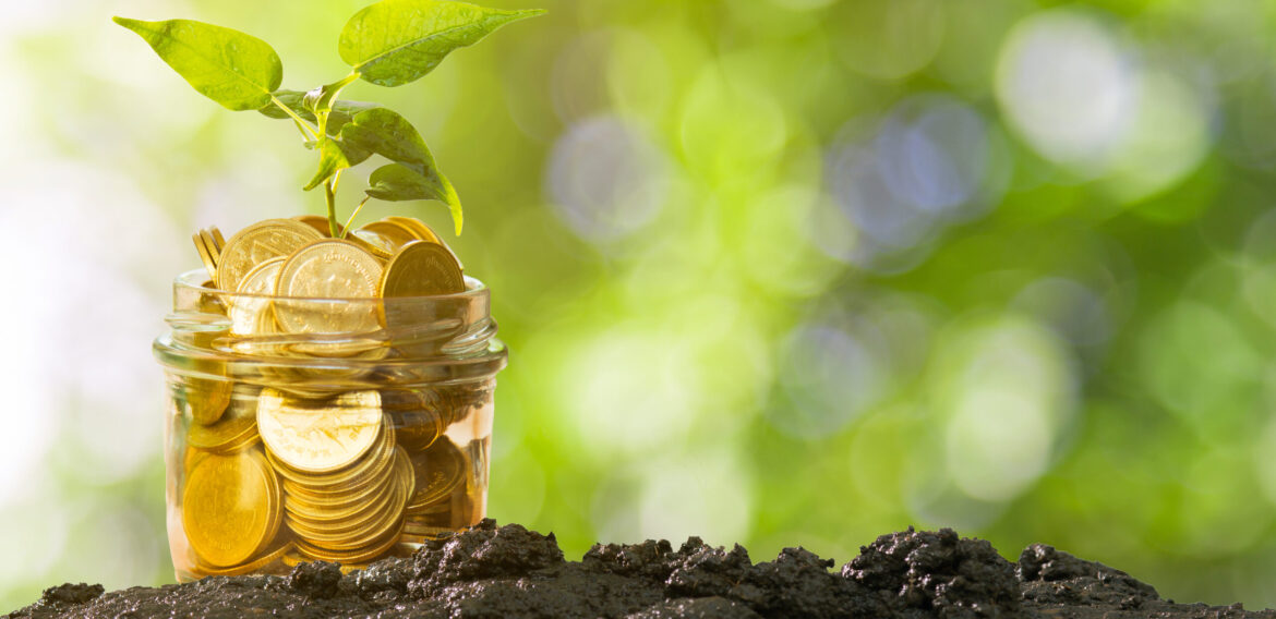Compania de certificare a carbonului din sol Agreena vrea să-și extindă operațiunile din România