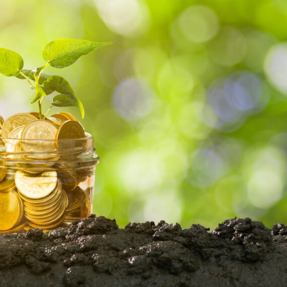 Compania de certificare a carbonului din sol Agreena vrea să-și extindă operațiunile din România