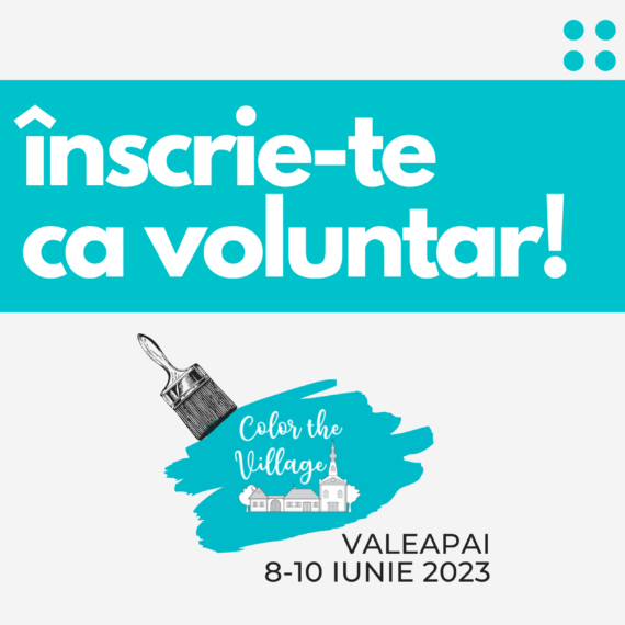 Asociația Acasă în Banat dă startul înscrierilor pentru voluntari la Color the Village 2023