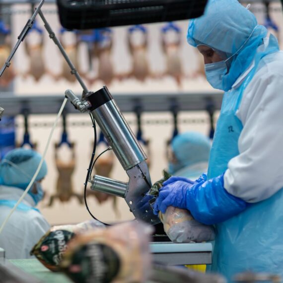 Ziua Mondială a Siguranței Alimentare: „La TRANSAVIA credem că toți consumatorii au dreptul să se aștepte la cele mai înalte standarde de siguranță alimentară, garantate constant și uniform”