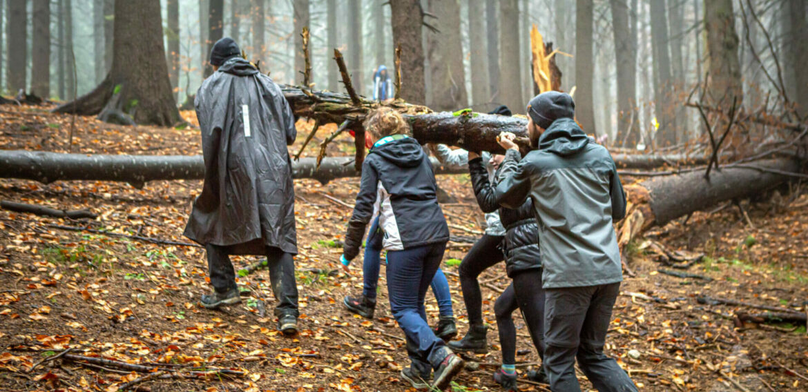 Programul THE Leadership School: burse pentru tinerii care se remarcă prin dinamism, inovație și excelență în diverse domenii de activitate