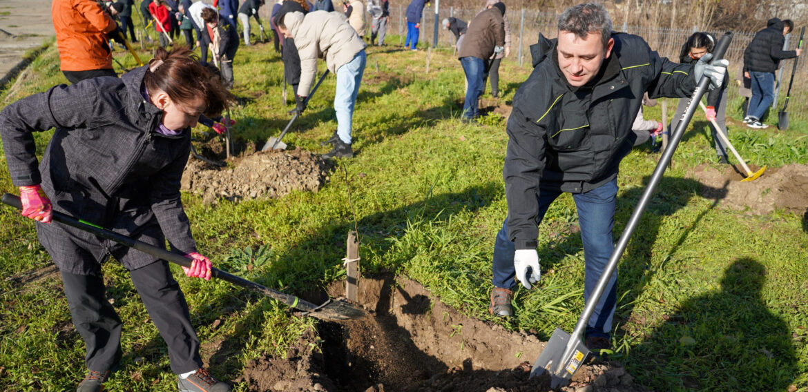 Angajații Antibiotice au plantat 500 de arbori