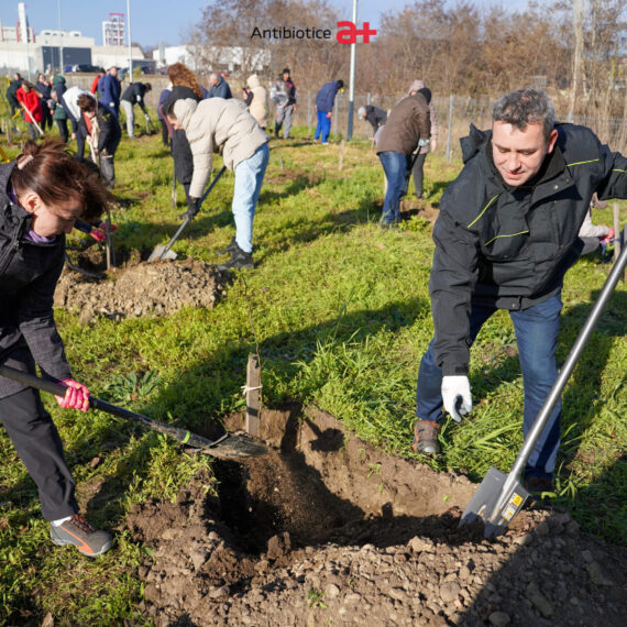 Angajații Antibiotice au plantat 500 de arbori